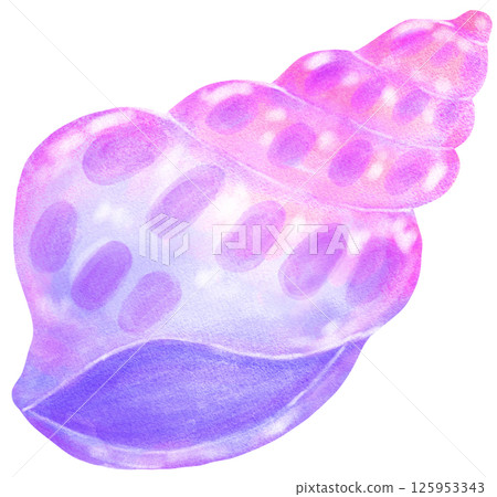 Pastel purple and pink gradient Conch Sea Shell Watercolor Seashell Pastel purple and pink gradient Conch Sea Shell Watercolor Seashell 125953343