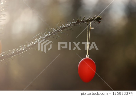 A red egg ornament hangs from a tree branch 125953374