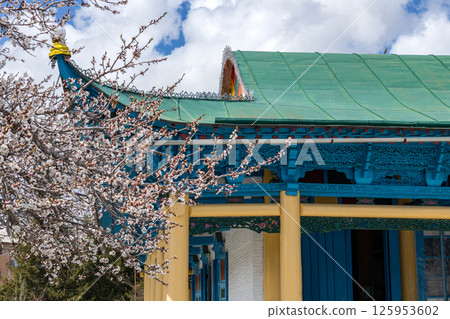 Dungan mosque in Karakol, Kyrgyzstan 125953602