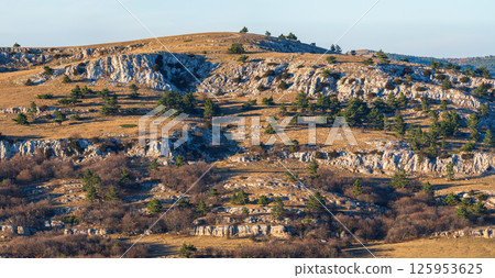 Limestone hills with scattered pine trees in evening light Limestone hills with scattered pine trees in evening light 125953625
