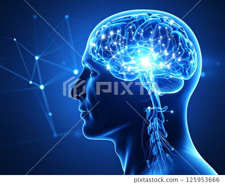 Image of the human brain network 125953666