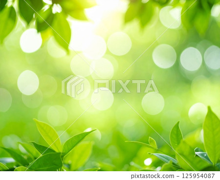 綠葉和散景背景材料 125954087