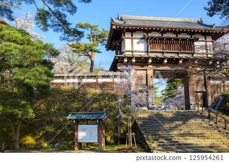 秋田市千秋公園的清爽早晨，櫻花與正門 125954261