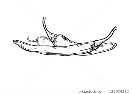three thin chili pepper pods black and white vector illustration in linear style. Jalapeno or cayenne realistic sketch for spicy food packaging, ethnic cuisine logos and restaurant menu design 125954283