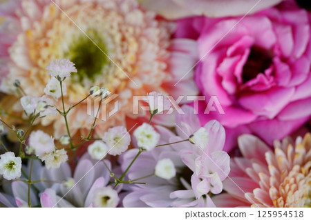 奈良菅原天滿宮的櫻花盛開 奈良菅原天滿宮的櫻花盛開 125954518