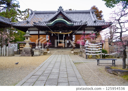 Nara Sugawara Shrine Plum Blossom Bonsai Exhibition Day 7 Nara Sugawara Shrine Plum Blossom Bonsai Exhibition Day 7 125954536