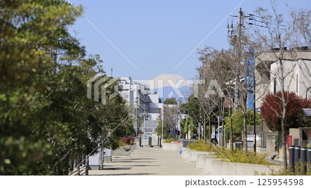 Mount Fuji as seen from Sakura Shindo near the Kitasenzoku intersection (Ota Ward, Tokyo) 125954598