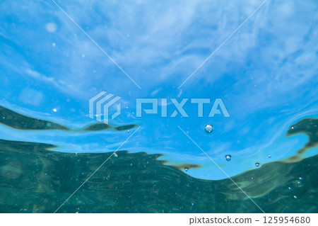 水生的 水下 在水中 125954680