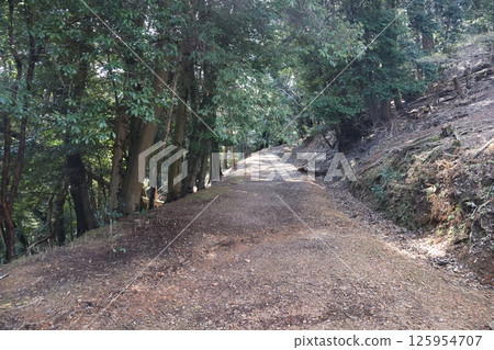 森林中的山路景觀,綠葉和陽光穿過樹木 森林中的山路景觀,綠葉和陽光穿過樹木 125954707