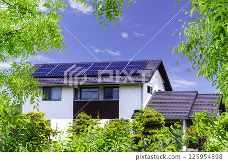Eco image_fresh greenery, sky and eco house Eco image_fresh greenery, sky and eco house 125954898