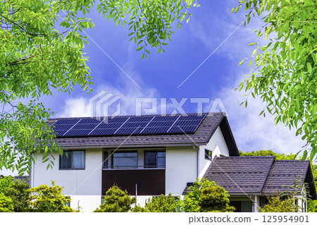 生態形象_清新的綠地、天空和生態房屋 125954901