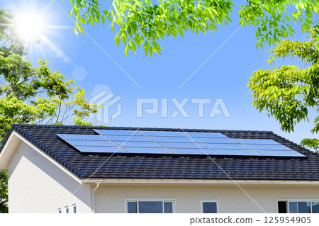 生態形象_新鮮的綠色植物、天空、生態屋和太陽 生態形象_新鮮的綠色植物、天空、生態屋和太陽 125954905