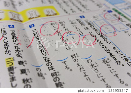 Japanese test ☆mar_lapin 125955247