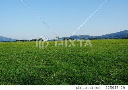 Old Antonov An-2 PF SP-FIY airplane takes off in Bielsko-Biala, Poland 125955429