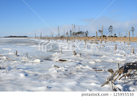 Winter scenery at Shunkunitai in Nemuro, Hokkaido 125955530