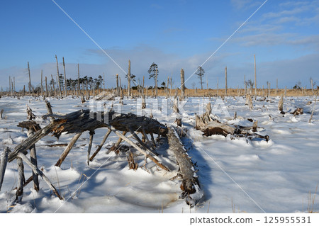 Winter scenery at Shunkunitai in Nemuro, Hokkaido 125955531