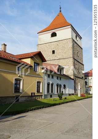 Colorful houses and bell tower in Zywiec city in Poland - vertical 125955535