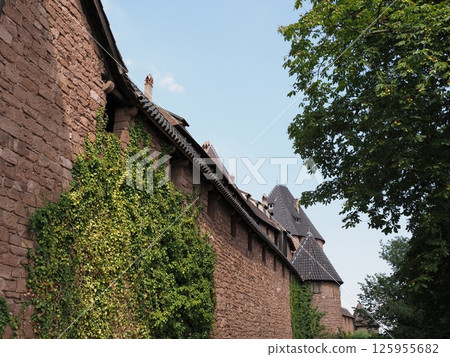 Monumental walls of Koenigsbourg castle in Orschwiller in France Monumental walls of Koenigsbourg castle in Orschwiller in France 125955682