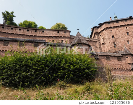 Medieval tower and walls of Koenigsbourg castle in Orschwiller in France Medieval tower and walls of Koenigsbourg castle in Orschwiller in France 125955686