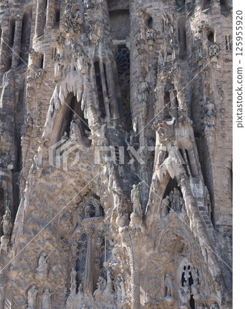 Focus of basilica facade in Barcelona city in Spain - vertical 125955920