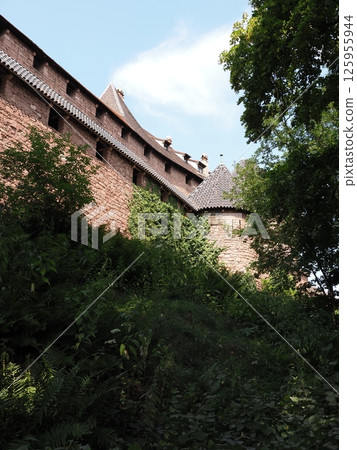 Ramparts of Koenigsbourg castle in Orschwiller in France - vertical 125955944