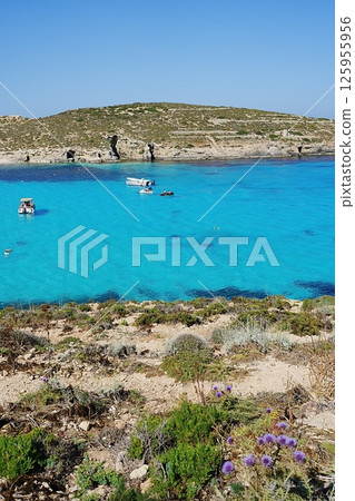 Holidays on blue lagoon in European Comino island in Malta - vertical Holidays on blue lagoon in European Comino island in Malta - vertical 125955956