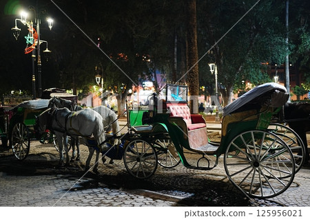 Row of horse-drawn carriages at Jemaa el-Fnaa in Marrakesh in Morocco at evening 125956021