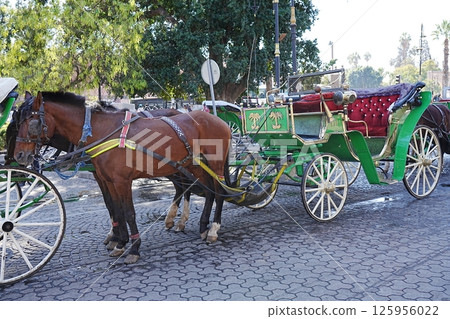 A horse-drawn carriage at Jemaa el-Fnaa in Marrakesh in Morocco A horse-drawn carriage at Jemaa el-Fnaa in Marrakesh in Morocco 125956022