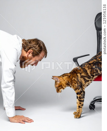 A man glaring at a cat A man glaring at a cat 125956138