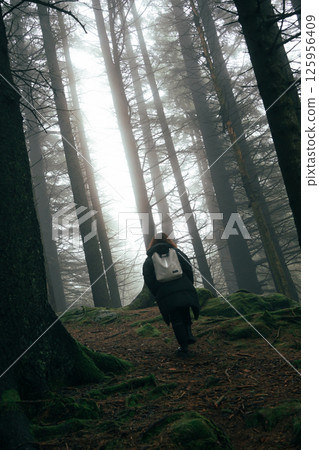 Misty forest at Mount Floyen, Bergen 125956409