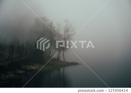 Misty forest at Mount Floyen, Bergen Misty forest at Mount Floyen, Bergen 125956414