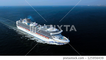 Cruise ship Diamond Princess 125956439