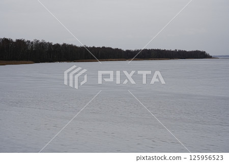 Frozen lake and woodland in Goczalkowice town at Silesian district in Poland 125956523