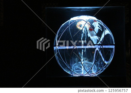 Blue world 125956757