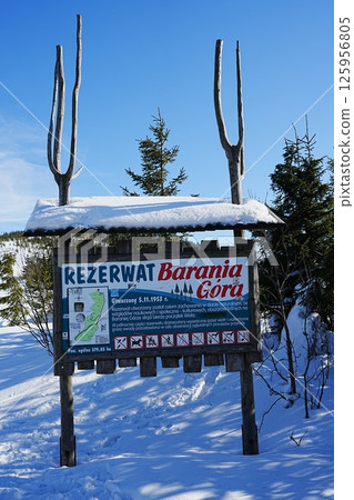 Information board in Silesian Beskid on Bialy Krzyz in Poland - vertical 125956805