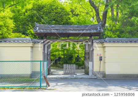 Kumagaya Shrine's west gate surrounded by fresh greenery Kumagaya Shrine's west gate surrounded by fresh greenery 125956806