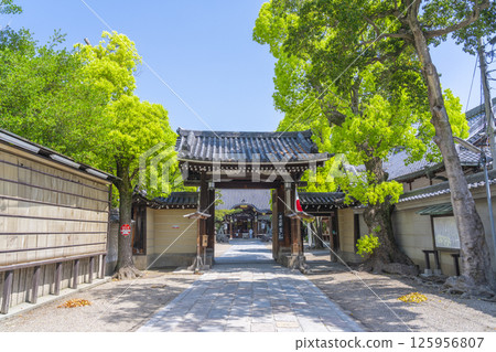 熊形神社：綠樹環繞的正門 125956807