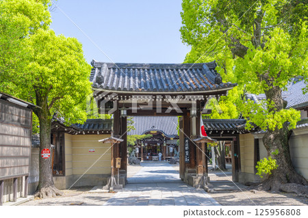Kumagata Shrine: The main gate surrounded by fresh greenery Kumagata Shrine: The main gate surrounded by fresh greenery 125956808