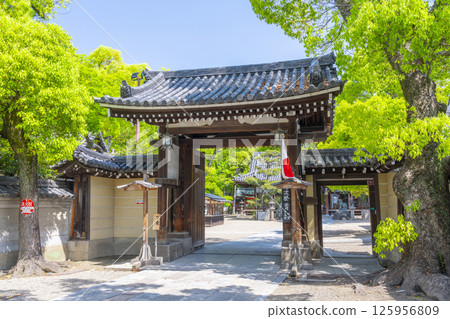 熊形神社：綠樹環繞的正門 125956809