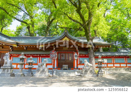 Kukimoto Shrine: The third main hall surrounded by fresh greenery 125956812