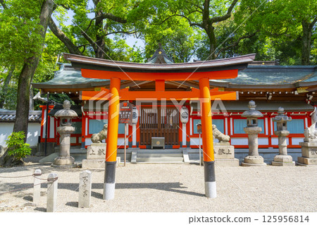 Kukimoto Shrine - The first main hall surrounded by fresh greenery 125956814
