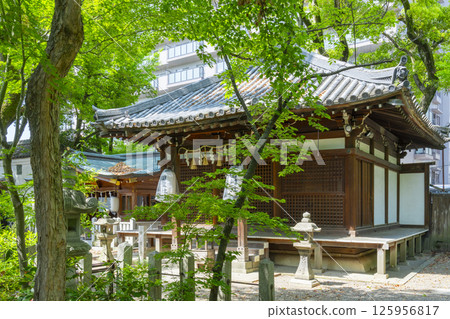 Kumagaya Shrine: Tamurado (ancestral shrine) surrounded by fresh greenery Kumagaya Shrine: Tamurado (ancestral shrine) surrounded by fresh greenery 125956817