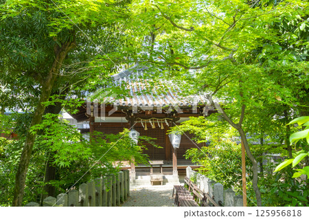 熊穀神社：綠樹環繞的田村堂（祖社） 125956818