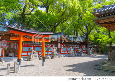 久木元神社 - 綠樹環繞的正殿 125956829