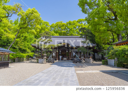 久木元神社：被新綠包圍的拜殿 125956836