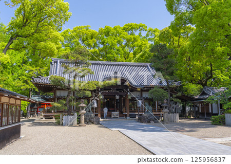 Kukimoto Shrine: The worship hall surrounded by fresh greenery Kukimoto Shrine: The worship hall surrounded by fresh greenery 125956837