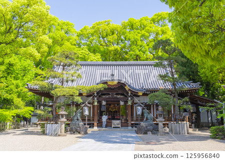 久木元神社：被新綠包圍的拜殿 125956840