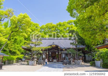 久木元神社：被新綠包圍的拜殿 125956842