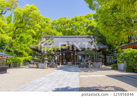 久木元神社:被新綠包圍的拜殿 久木元神社:被新綠包圍的拜殿 125956846
