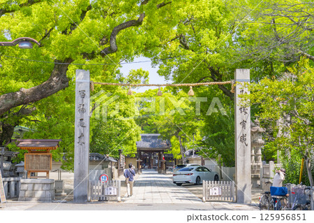 久木元神社 - 綠樹環繞的參拜道 - 柱子 125956851